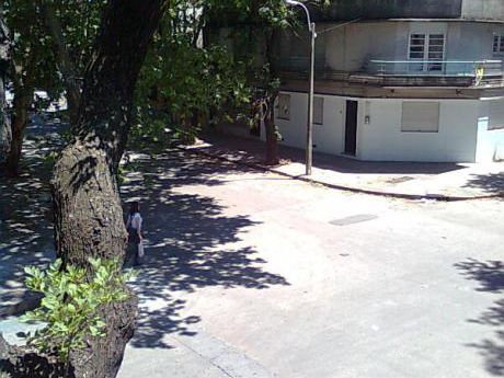Pleno Aguada