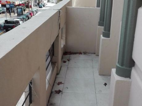 Aptos A Estrenar Amparados En La Ley De Vivienda Social