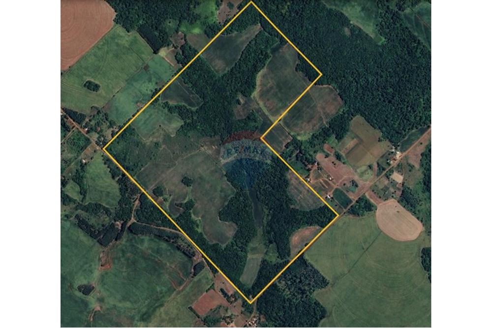 Finca Agrícola - Venta - Fram, Paraguay — foto 3