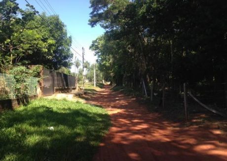Remato 3 Terrenos San Antonio A Mts De Asfalto