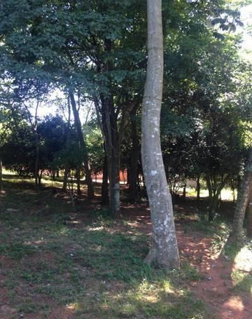 Remato 3 Terrenos A Mts De Asfalto Von Polesky