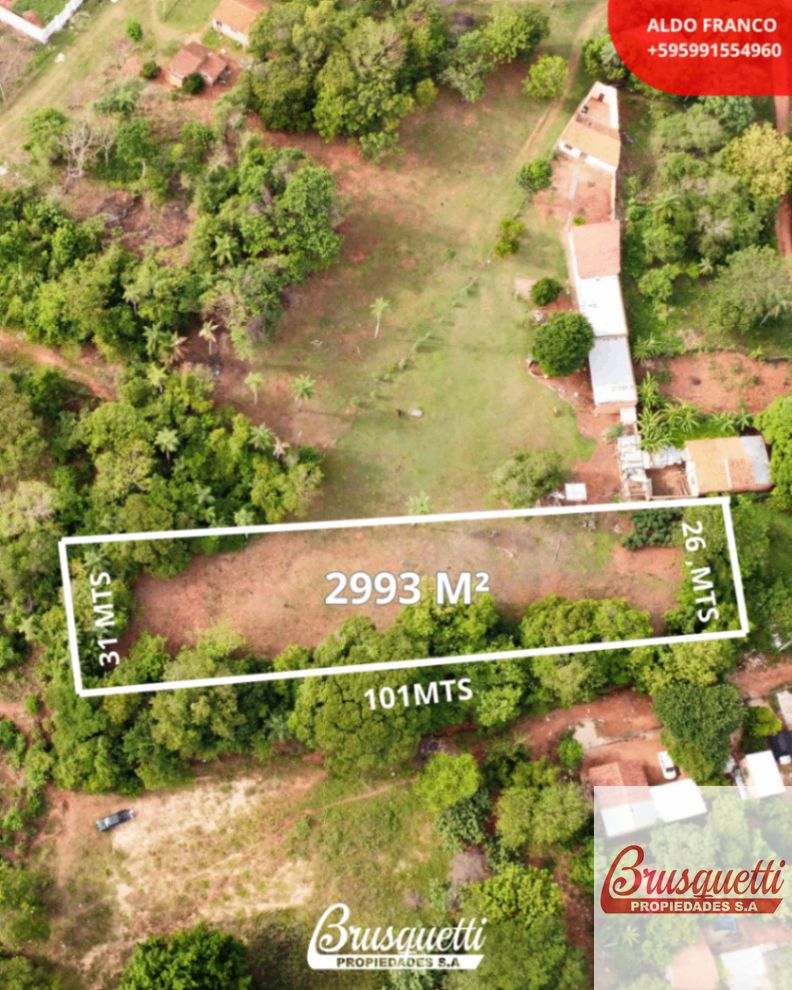 Terreno en venta de 2993m2 ubicado en Limpio — foto 2