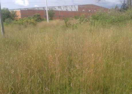 5 Hermosos Lotes Juntos De 5.596m2 En Ypane A 100m De Acceso Sur