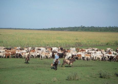 1126 Has. Mbuyapey, Colonia María Antonia- Potrerito , Linda Con El Rio Tebycuary. Departamento De Paraguari.