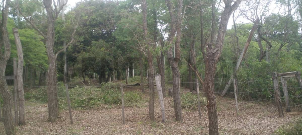 VENDO 4 TERRENOS EN CAACUPÉ — foto 2