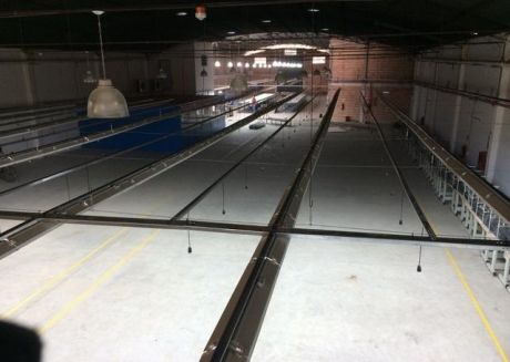 Alquilo Tinglado De 1500m2 En Mra