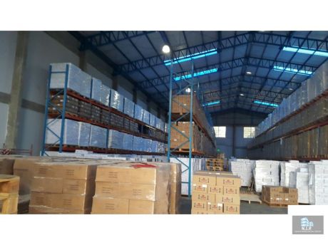 En Alquiler Tinglado De 5450m2 En Luque