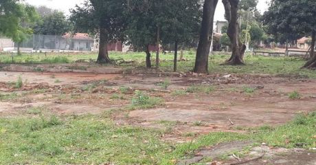 Remato 6 Terrenos Juntos O Separados