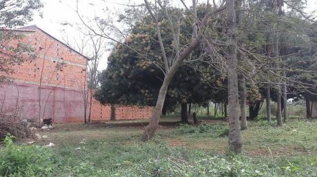 Atencion Luque Mora Cue, Remato Un Terreno