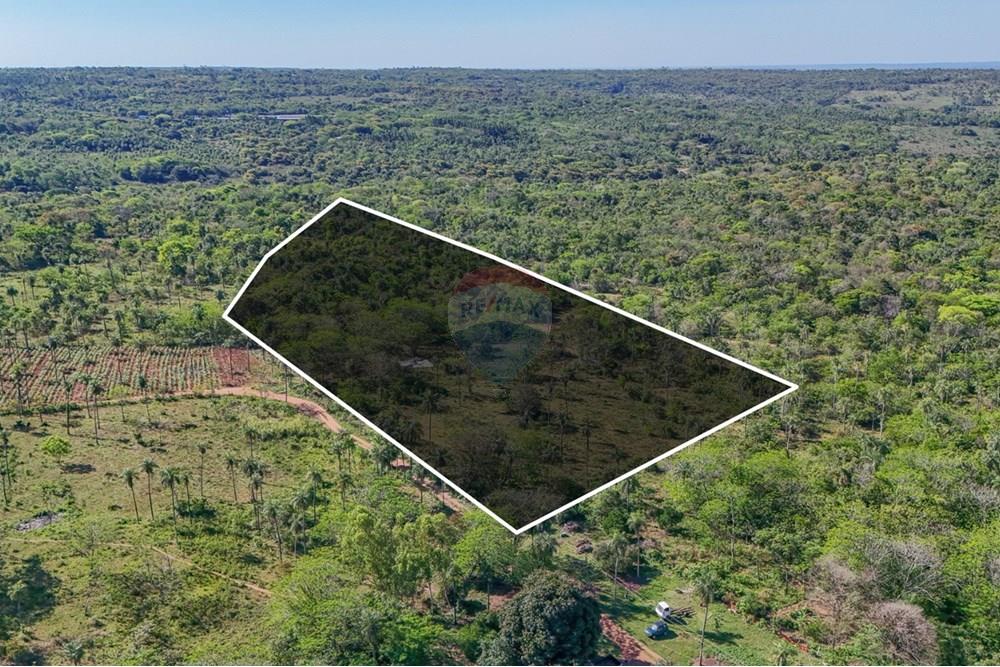 ¡En Venta ! terreno 6 Hectáreas — foto 3