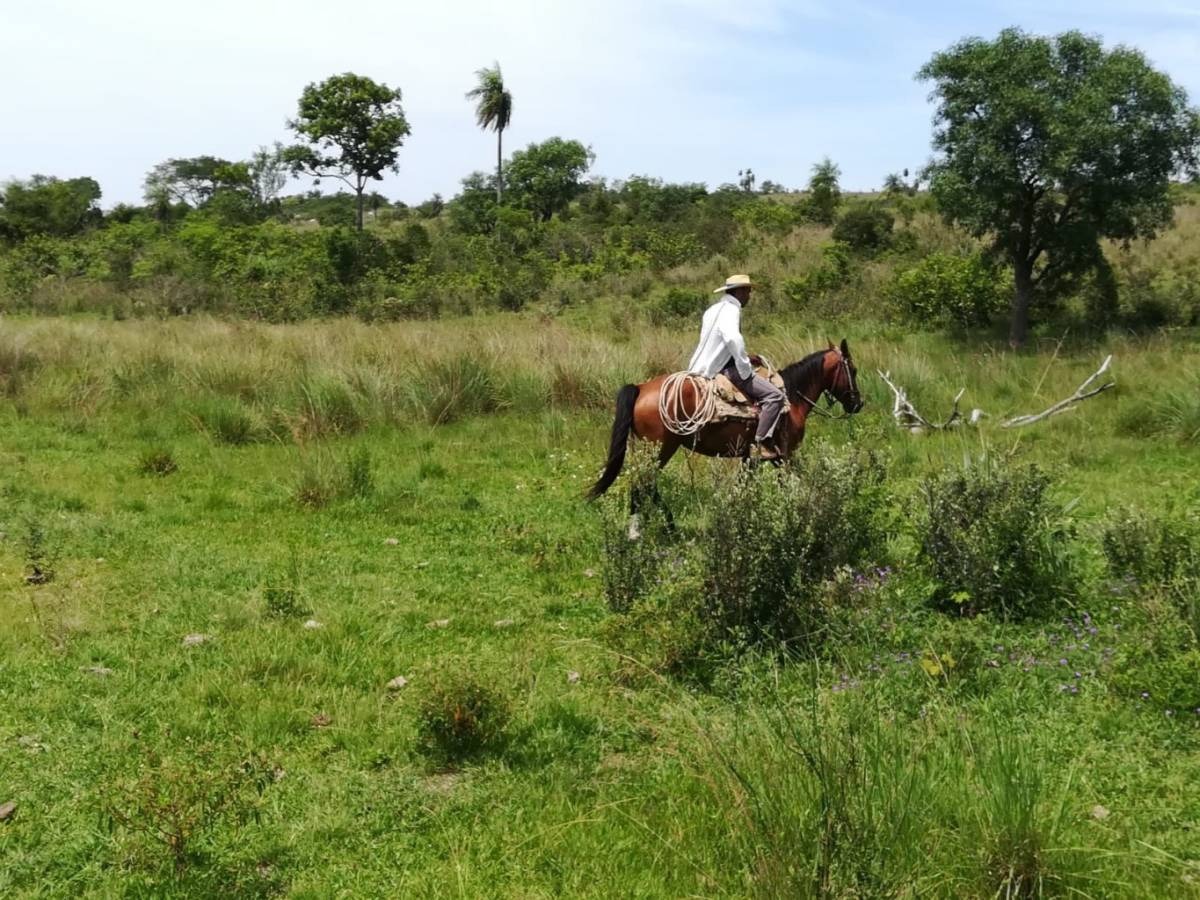 Vendo estancia de 475 hectareas en Caapucu - Departamento de Paraguarí — foto 3