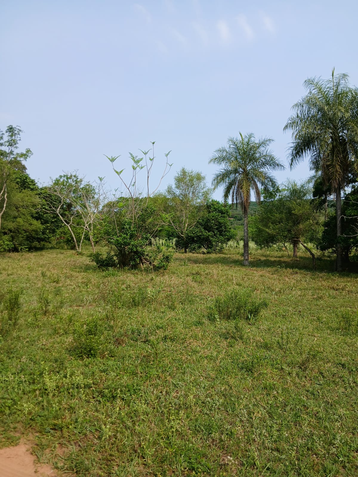 Terreno en venta en Altos — foto 3