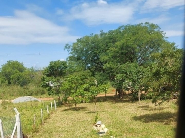 TERRENO EN VENTA – CAACUPÉ, LOMA GUAZÚ — foto 2
