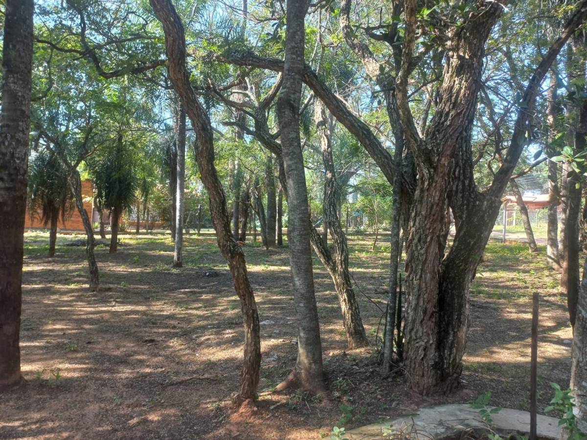 VENDO CASA 3 DORMITORIOS EN ESQUINA - BARRIO COLON, SAN BERNARDINO — foto 3