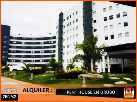 Pent House En Alquiler