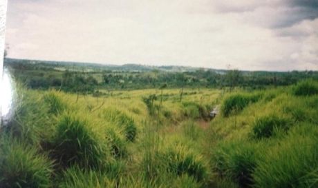 Vendo Estancia En Caaguazu 600 Has Aprox Para Ganaderia Y Agriculutra