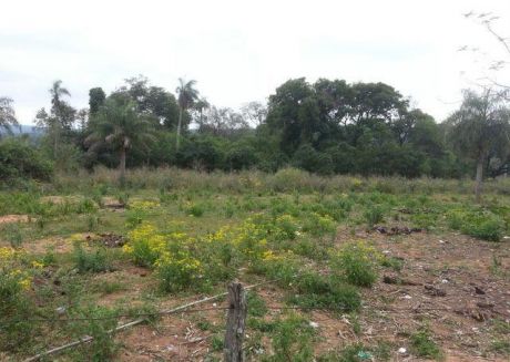 Vendo 6,5 Ha En Hugua HÛ