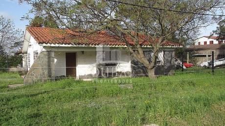 Casas En Lagomar