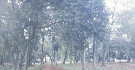 Oferto 5 Hermosos Lotes En Aregua - Valle Pucu