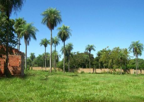 Vendo Terreno Recuperado En Luque-aregua