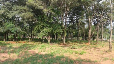 Atencion ñemby , Remato 5 Hermosos Terrenos S/empedrado A Pasos De Acceso Sur.I