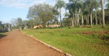 20 Hermosos Lotes Juntos O Separados A Solo 100 Mts. De Asfalto
