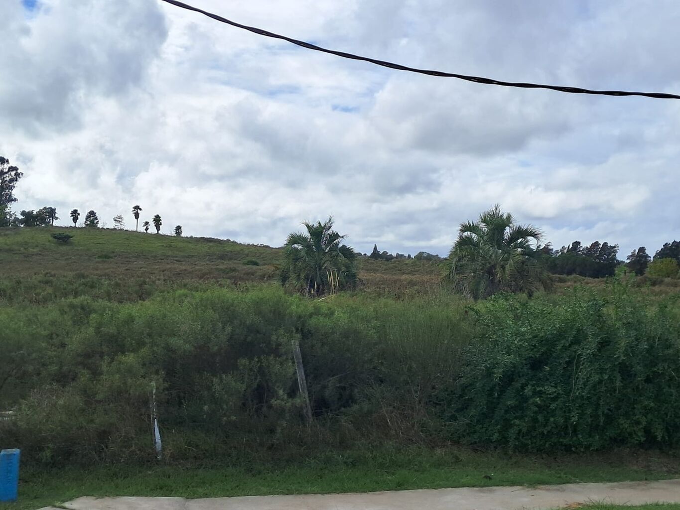 Chacra sobre Ruta 5, Progreso, km 28 · Foto 9