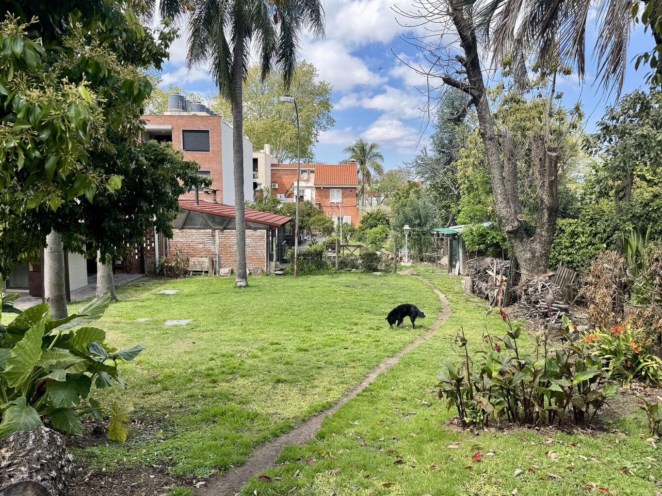 Foto 4 de 13
