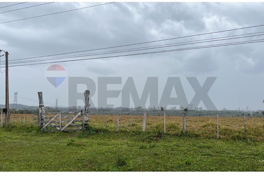 VENDO 30 HECTAREAS PRODUCTIVAS EN MISIONES — foto 2