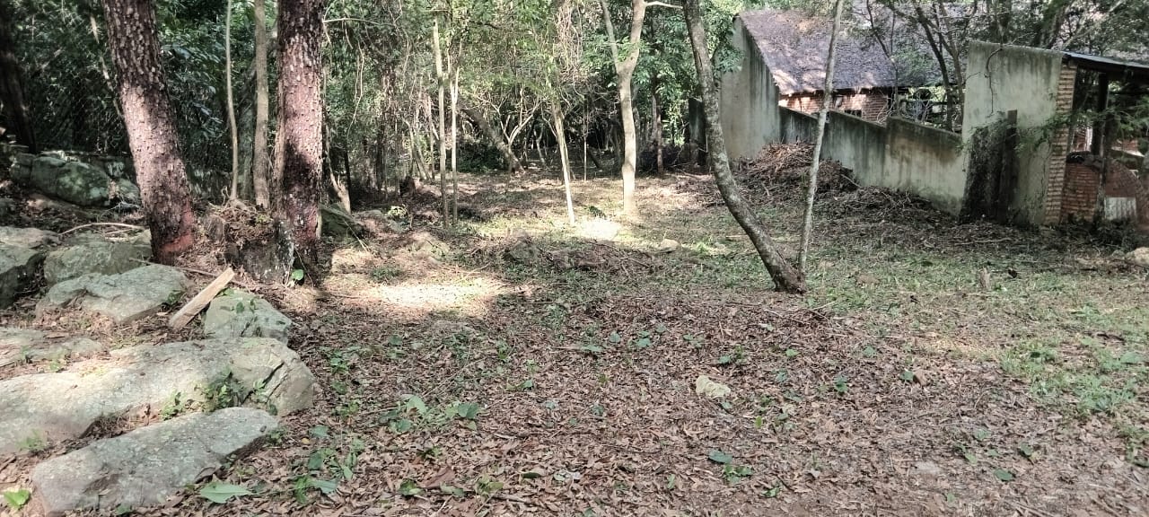 EN VENTA TERRENO EN ISLA ALTA NUEVA COLOMBIA — foto 3