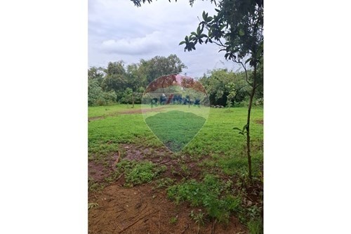 TERRENO EN VENTA, ENCARNACION — foto 2