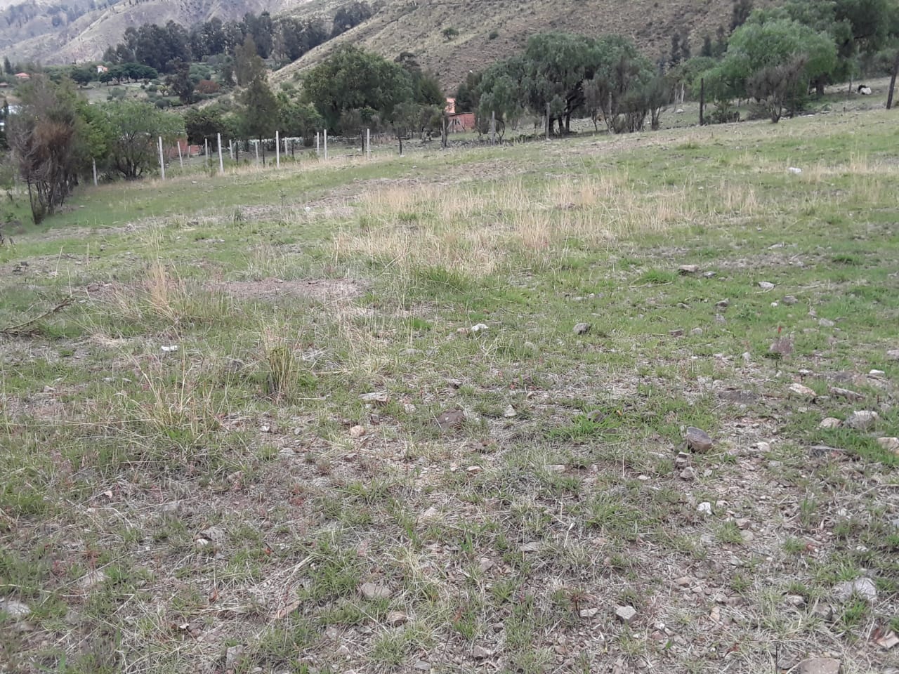 Hermoso Lote En Venta En Chilimarca Pucon Tiquipaya Sup: 1000 M2 Cosultas 