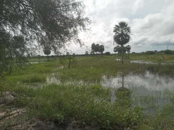 VENDO ESTANCIA EN ALTO PARAGUAY-FORTIN FLORIDA, 1600 HAS — foto 3