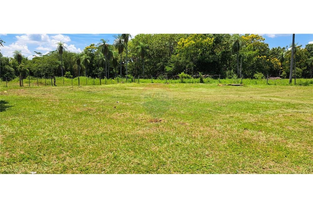 VENDO TERRENO EN NUEVA COLOMBIA 6.4 HECTAREAS — foto 3
