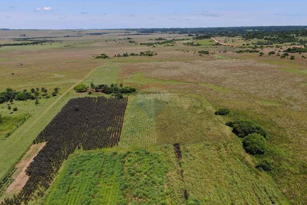 Estancia/Campo - Venta - Paraguay Paraguarí Quiindy — foto 3