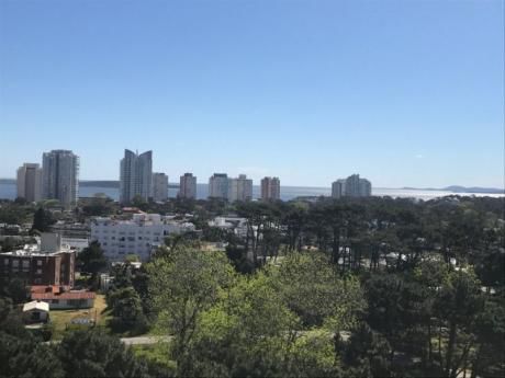 Apartamento En Alquiler 1 Dormitorio