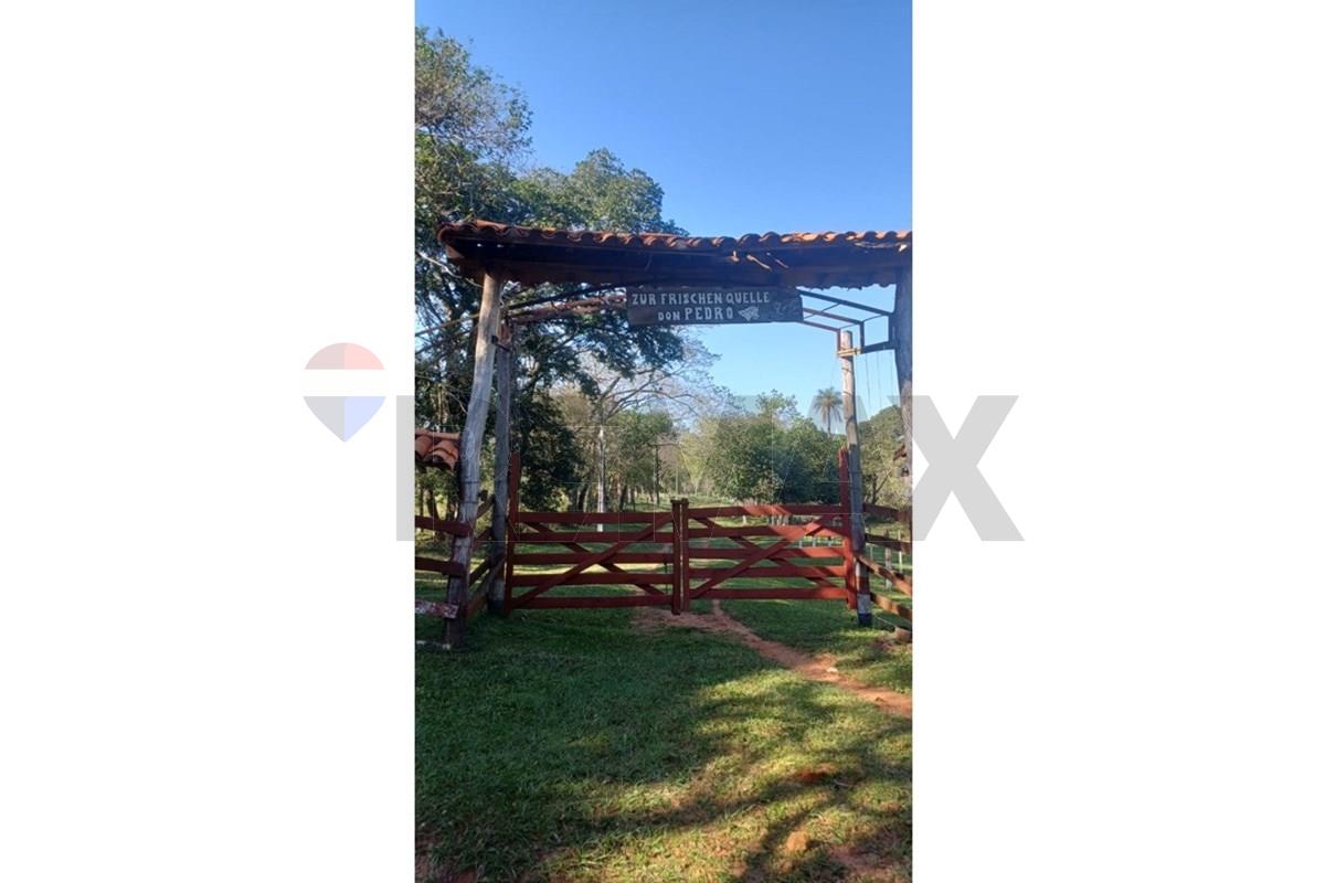 Finca Agrícola - Venta - Caacupé, Cordillera, Paraguay — foto 2