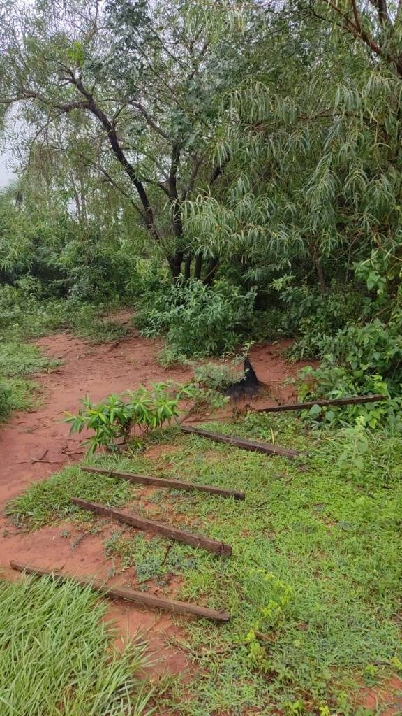 Venta de 4 HECTAREAS en Carapeguá — foto 2