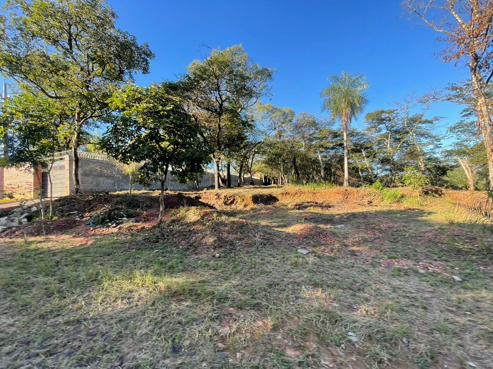 SAN BERNARDINO, ZONA CENTRO, EN VENTA 3 TERRENOS JUNTOS — foto 3