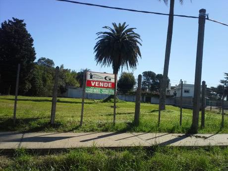 Terreno En Colón