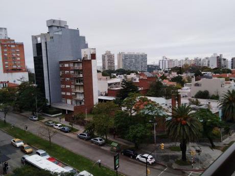 Excelente A Pasos De Rambla, Shoping Y Del Wtc