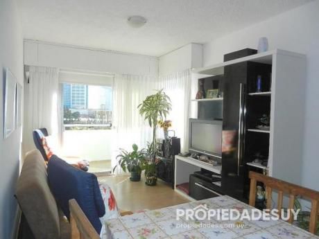 Departamento En Alquiler De 2 Dormitorios - 1 Baños En Punta Del Este