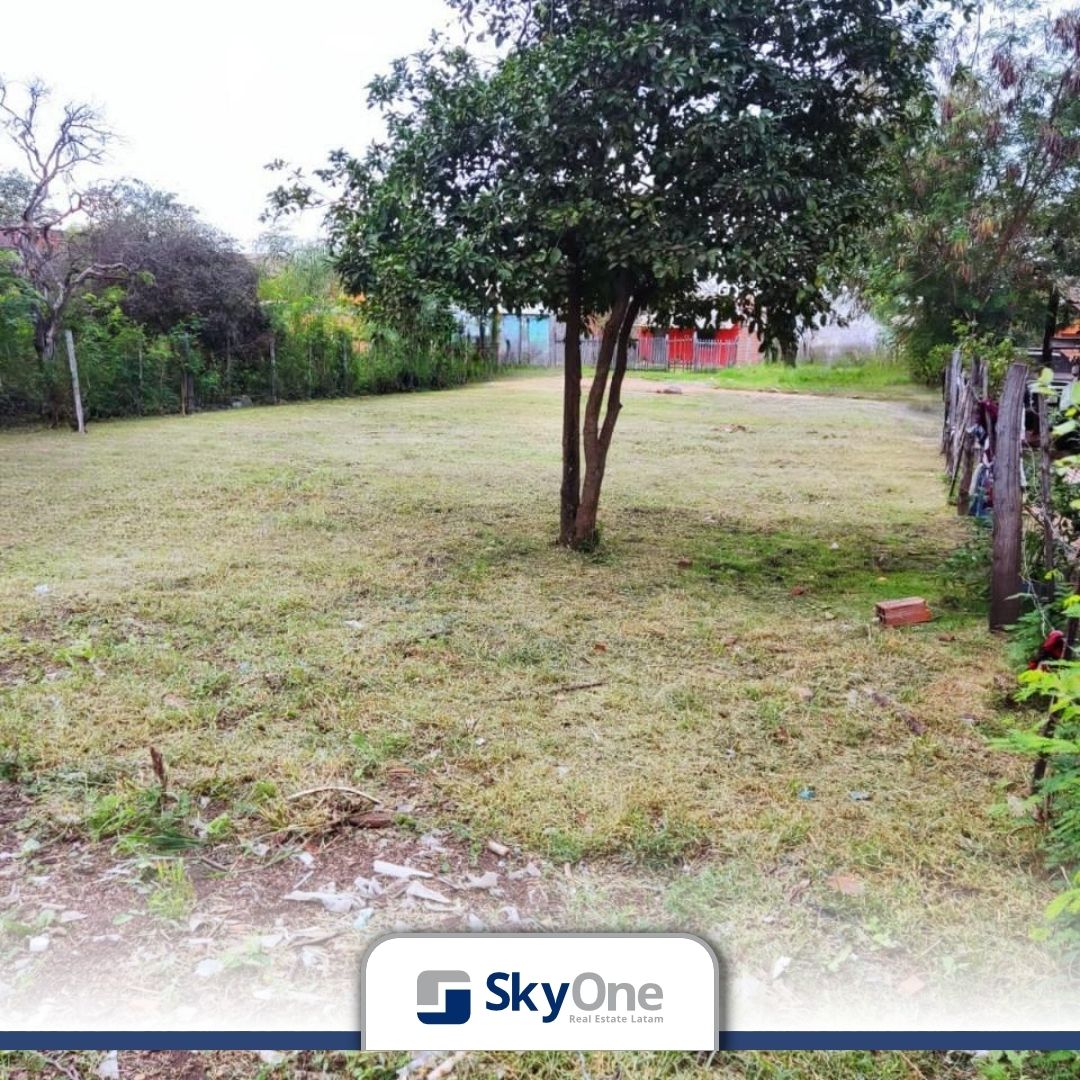 Vendo Terreno En Concepcion — foto 3