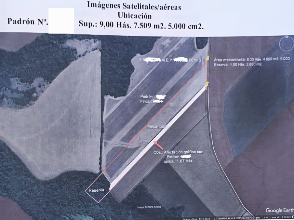 EN VENTA CAMPO EN CAPITAN MEZA ITAPUA - 55 HECTAREAS — foto 3