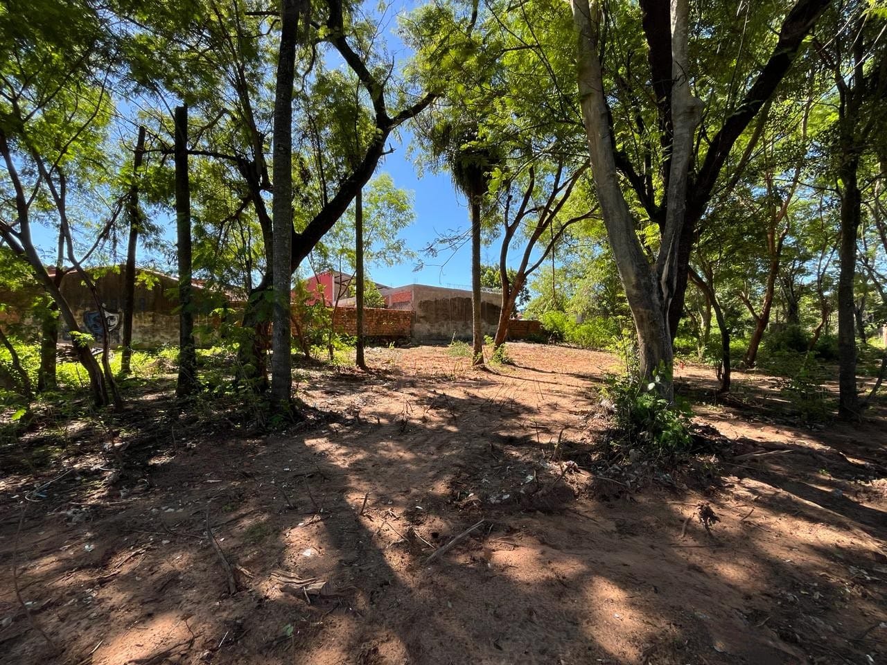 TERRENOS MARAMBURE LUQUE — foto 2