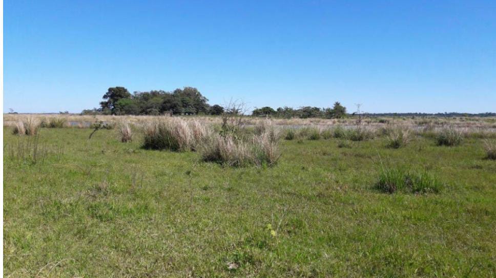 Vendo Propiedad Rural de 6.565 Hectáreas Sobre el Río Paraná - CLCS6983111 — foto 2