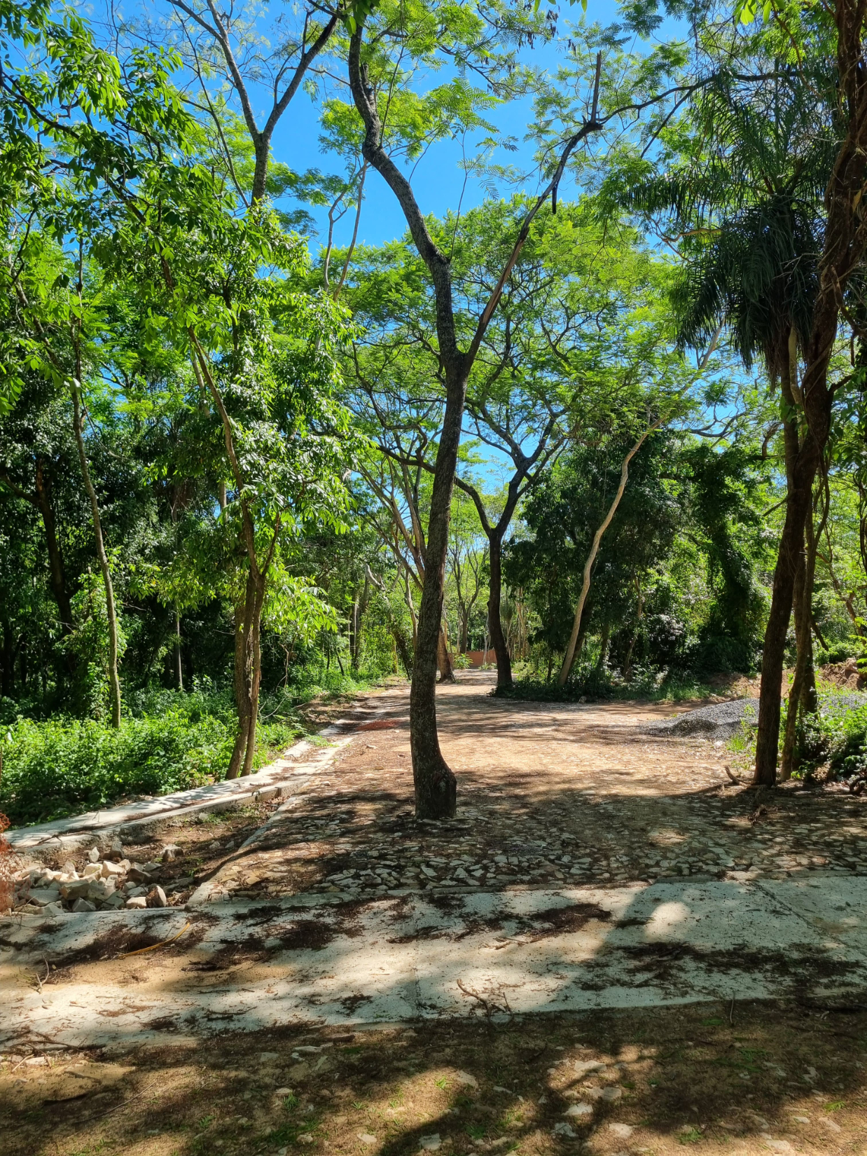 NUEVO BARRIO CERRADO — foto 2