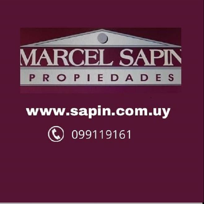 Foto 2 de 12