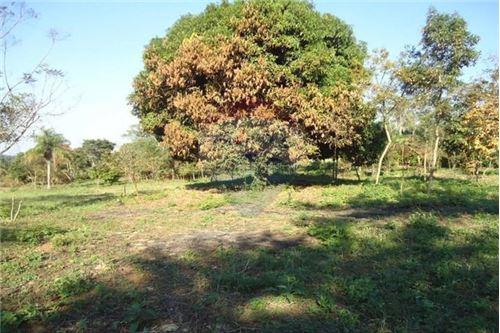 VENDO AMPLIO TERRENO EN LA CIUDAD DE ALTOS — foto 3