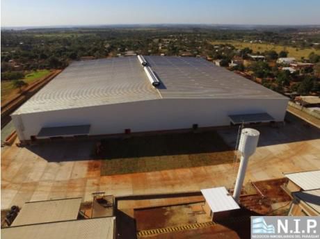 Tinglado De 10.000 M2 En Cde Disponible